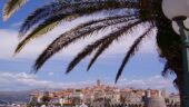 Great trip to Korcula