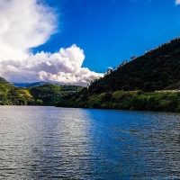Private & Custom Tours