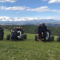 Luxury Tours