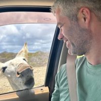 Private & Custom Tours