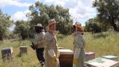 A wonderful experience! 🐝🍯