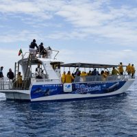 Cruises, Sailing & Water Tours