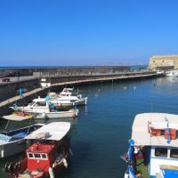 Shore Excursions