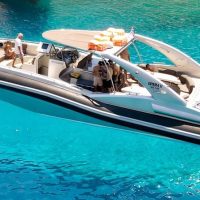 Day Cruises