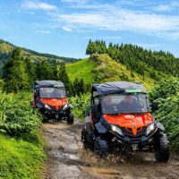 Private Sightseeing Tours