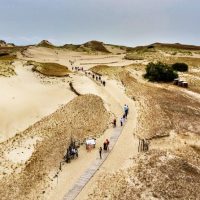 Private & Custom Tours