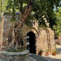 Private & Custom Tours