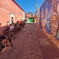 Cultural Tours