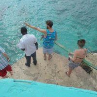 Private & Custom Tours