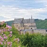 Tours & Sightseeing