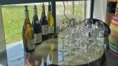 Excellent dégustation of great wines from burgundy.