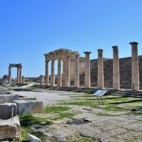 Ports of Call Tours