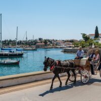 Cultural & Theme Tours