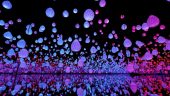 Man, this was beautiful. A do not miss in my opinion if you are into art, color, beauty.