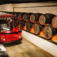 Bus & Minivan Tours
