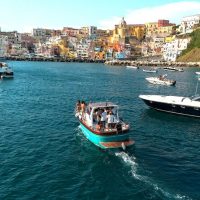 Day Cruises