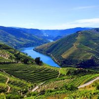 Cultural & Theme Tours
