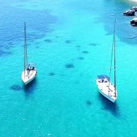 Day Cruises