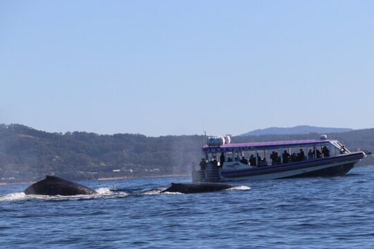 New Year’s Eve in Coffs Harbour