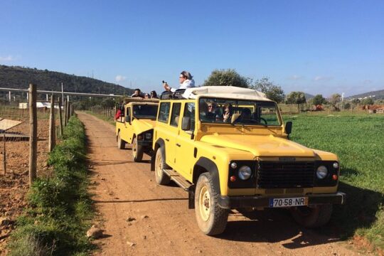 New Year’s Day long weekend in Faro