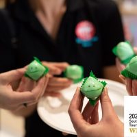 Chocolate Tours