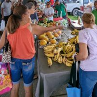 Street Food Tours