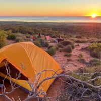 Luxury Tours