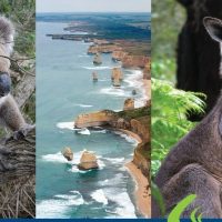 Multi-day & Extended Tours
