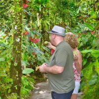 Audio Guided Tours