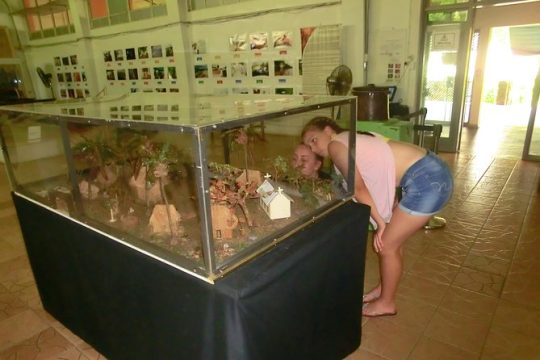 Valentine's Day in Suva