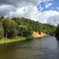 Walking Tours
