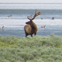Overnight Tours