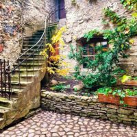 Half-day Tours