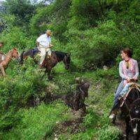 Multi-day & Extended Tours