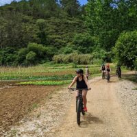 Wine Tasting & Winery Tours