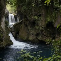 Private & Custom Tours