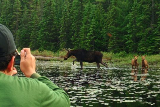 Hanukkah in Algonquin Provincial Park