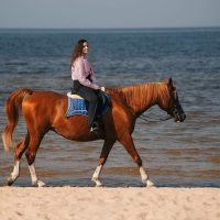 Horseback Riding