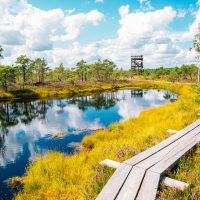Eco Tours