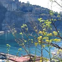 Walking Tours