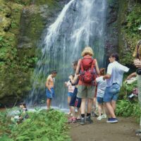4WD, ATV & Off-Road Tours