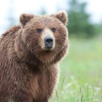 Multi-day & Extended Tours