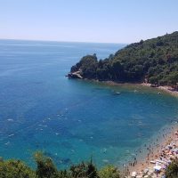 Airport & Ground Transfers