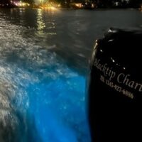 Private & Custom Tours