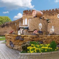 Half-day Tours