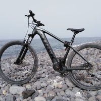 Bike Rentals