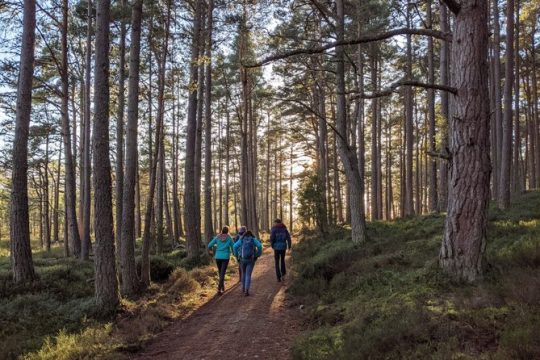 New Year’s Day long weekend in Aviemore