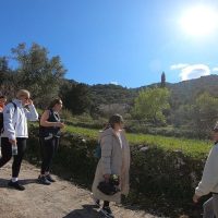 Half-day Tours