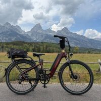 Bike Rentals