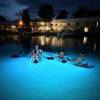 Glass Bottom Boat Tours